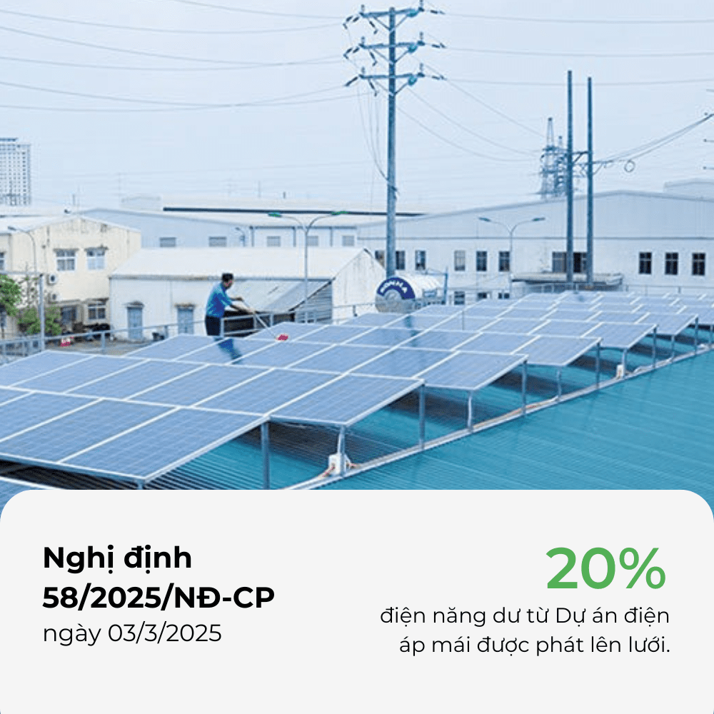 Nghị định 58/2025/NĐ-CP