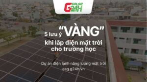 5 nguyên tắc vàng